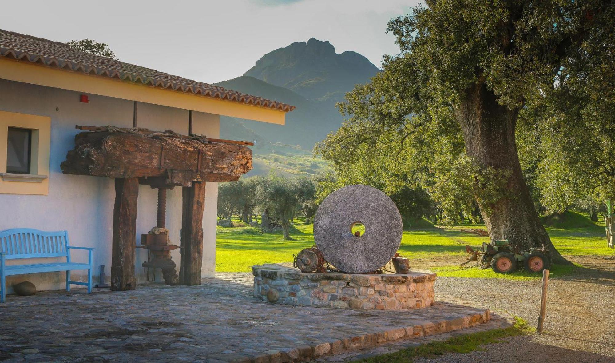 Barone Gr Macri Agriturismo Modi Gerace Exterior photo
